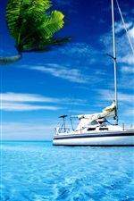 Preview iPhone wallpaper Boat, sea water, palm tree, hot summer sky