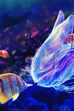 Underwater world, jellyfish and clown fish