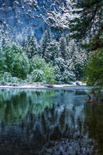 Preview iPhone wallpaper Nature landscape, winter, forest, National Park, river