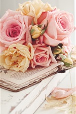 Rosa levantou-se flores, folhas, outono