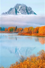 USA, Wyoming, Grand Teton National Park, trees, fog, autumn
