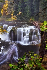 Preview iPhone wallpaper USA, California, Washington, Lewis river, waterfalls, autumn, forest