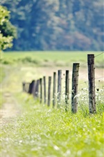 Preview iPhone wallpaper Nature, fence, meadow, grass, trees