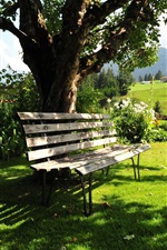 Preview iPhone wallpaper Kitzbuhel, Austria, summer, trees, bench, grass