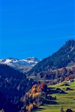 Preview iPhone wallpaper Switzerland, Alps, mountains, houses, trees, grass, blue sky