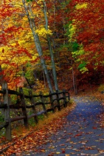 Preview iPhone wallpaper Autumn park, trees, fence, road, falling leaves