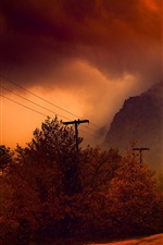 Preview iPhone wallpaper Autumn, trees, road, fog, night