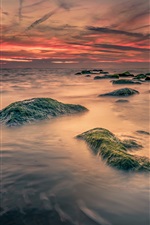 Preview iPhone wallpaper Sea, stones, moss, dawn, clouds, sunrise