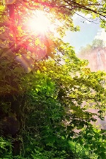 Preview iPhone wallpaper Waterfall, forest, trees, sunshine, glare, beautiful nature landscape
