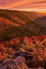 Beautiful autumn landscape, mountains, forest, sunset