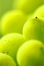 Preview iPhone wallpaper Green berries, fruit, macro photography