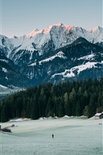 Preview iPhone wallpaper Mountains, peaks, snow, forest, winter