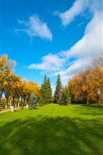 Preview iPhone wallpaper Park, lawn, trees, autumn, clouds, blue sky