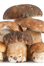 Preview iPhone wallpaper Some mushrooms, white background