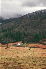 Preview iPhone wallpaper Village, houses, farm, trees, clouds