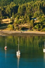 Preview iPhone wallpaper New Zealand, Picton, sea, trees, boats, sunshine
