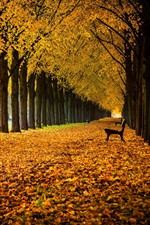 Preview iPhone wallpaper Germany, Lower Saxony, alley, park, trees, bench, leaves, autumn