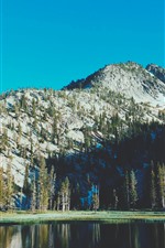 Lake, mountain, trees, nature scenery