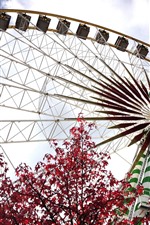Ferris wheel, red maple leaves
