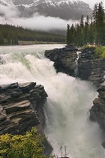 Trees, waterfall, water splash, nature landscape