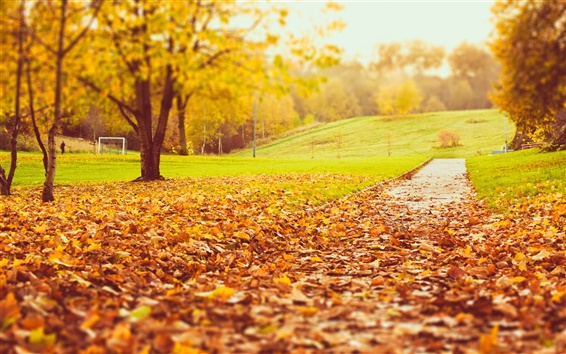 Wallpaper Park autumn, trees, yellow and orange leaves