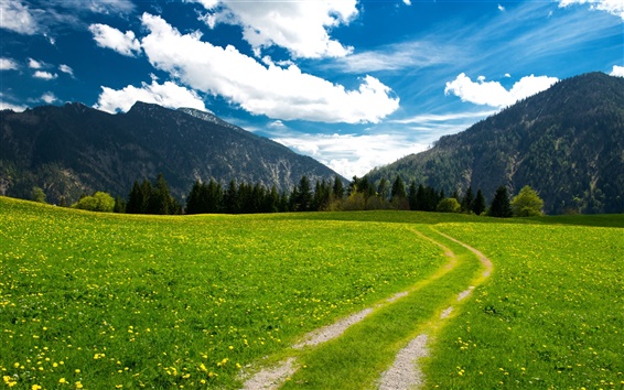 Wallpaper Pasture, the Bavarian Alps, mountains, trees, green field, sky, clouds