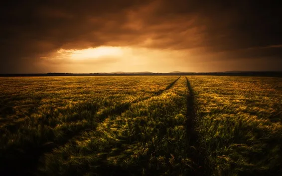 Fond d'écran champs de blé Belle au soir, les nuages