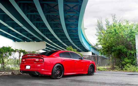 Wallpaper Dodge SRT8 red car