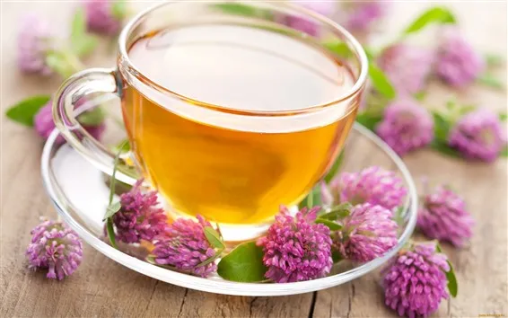Wallpaper Tea, cup, pink flowers