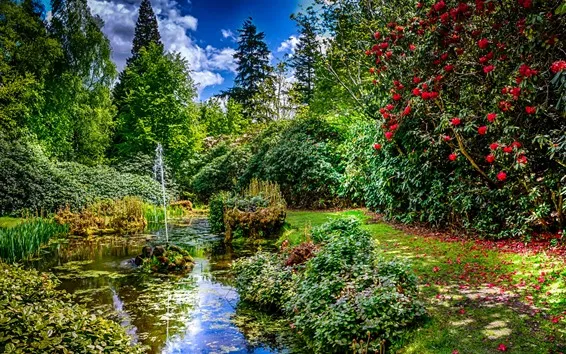 壁紙 タットン公園、緑の木々、赤い花、噴水、英国