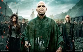 Aperçu fond d'écran HP7 Partie 2 Villain