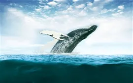 壁紙のプレビュー クジラやイルカ