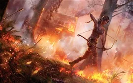 Aperçu fond d'écran Tomb Raider 2012