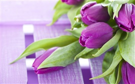 Preview wallpaper Purple flowers, a bouquet tulips