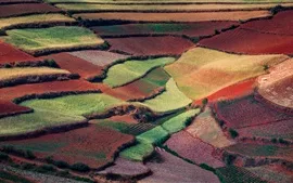 Chine ressort la nature, les champs de la campagne, comme des tapis colorés