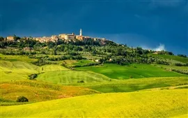 Aperçu fond d'écran Pienza, en Toscane, en Italie, les champs, les arbres, les maisons, les verts