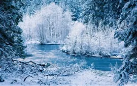Aperçu fond d'écran Hiver paysage de nature, blanc de neige, arbres, rivière