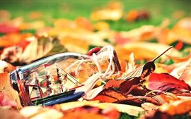 Aperçu fond d'écran Les feuilles d'automne, bouteille, bateau