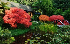 Aperçu fond d'écran Paysage japonais, jardin, étang