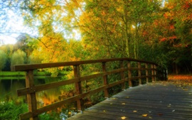 Preview wallpaper HDR scenery, park, leaves, trees, forest, autumn, wood bridge