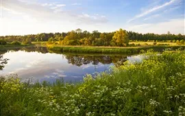 Russie, Tver, lac, herbe, fleurs, arbres