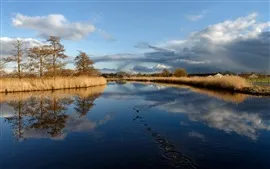 Preview wallpaper Lake, bird, grass, trees, clouds, autumn