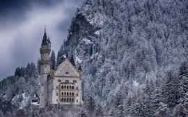 Aperçu fond d'écran Château, forêt, hiver, neige, Allemagne