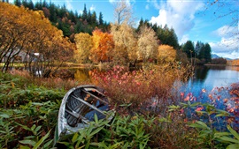 Río, bosque, otoño, árboles, casa, barco roto