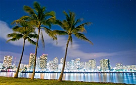 Preview wallpaper Hawaii, Honolulu, Beach Park, buildings, night, lights