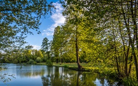 Vorschau des Hintergrundbilder Kroatien, Zagreb, Bäume, See, Park