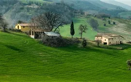 壁紙のプレビュー イタリア、カンパニア、山、フィールド、木、草、家
