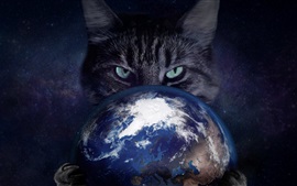 Cat поймать Земли, творческие фотографии