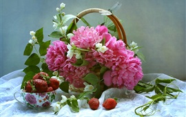 Розовые пионы и белый жасмин, корзина, клубника