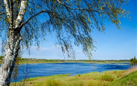 Россия природа пейзаж, река, березы, трава, голубое небо